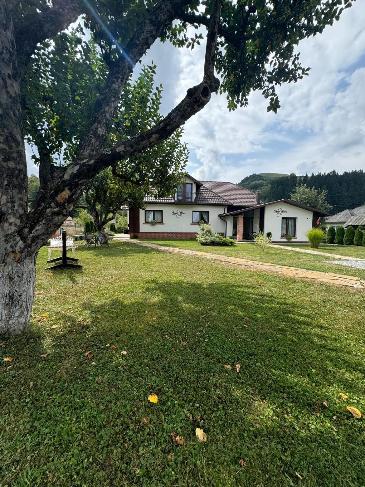 Chalet Bora 下维谢乌乡 外观 照片